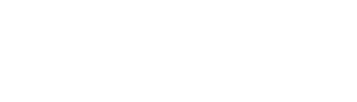 Český florbal